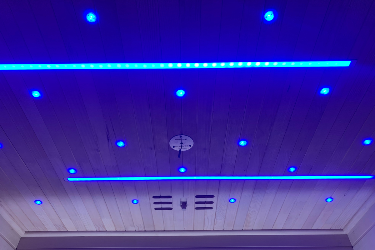 Blisspod Bergen 2-Person Full Spectrum Infrared Sauna with Red Light Therapy