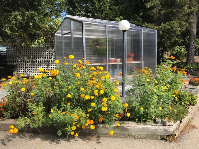 Janco Palmetto 8' × 10' Aluminum & Glass Greenhouse