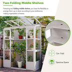 TOPMAX Fir Wood Walk-In Greenhouse with Skylights & Folding Shelves