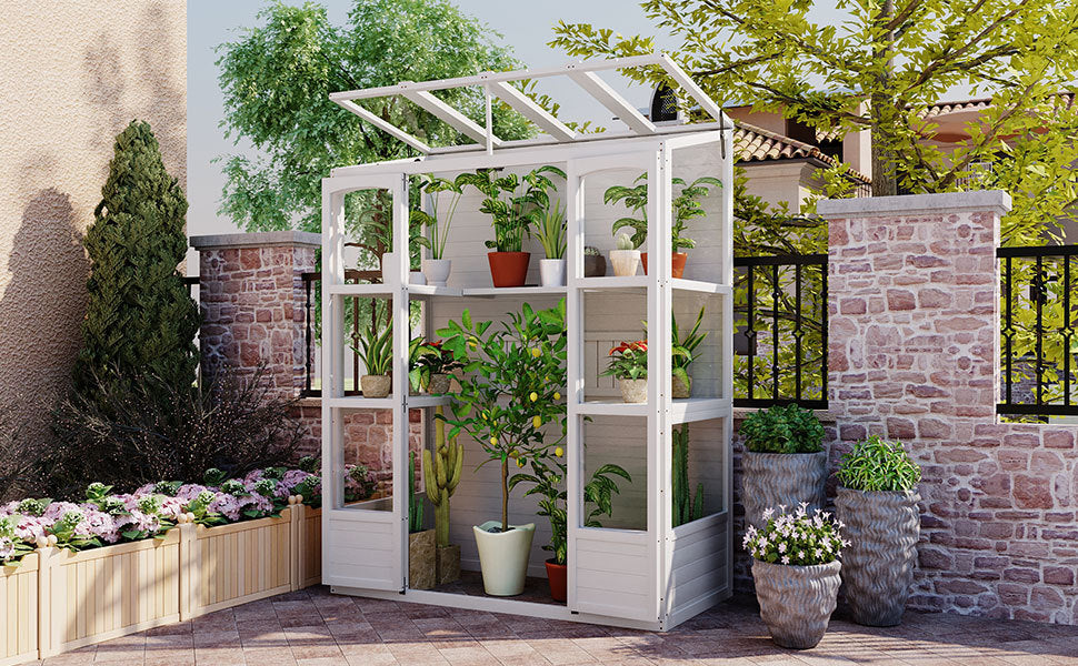 TOPMAX Fir Wood Walk-In Greenhouse with Skylights & Folding Shelves