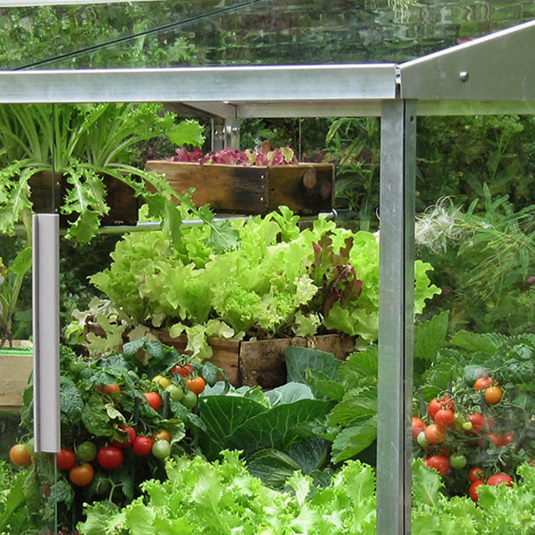 Homebridge Mini Greenhouse for Raised Garden Beds
